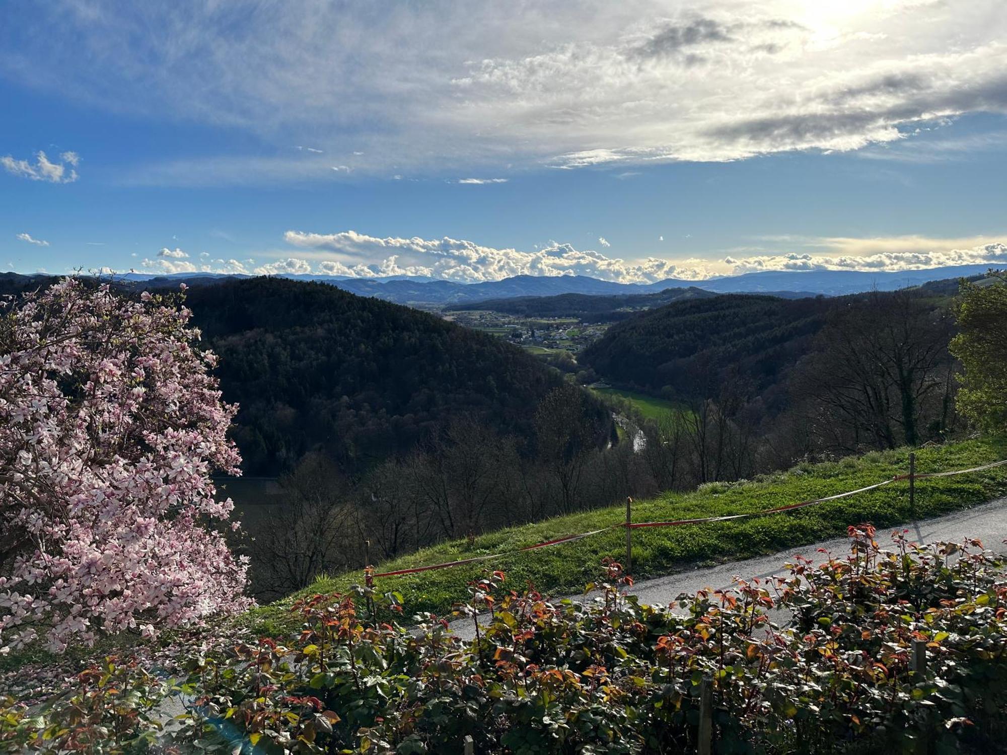Winzerhaus Roemerstrasse Kitzeck im Sausal Bagian luar foto